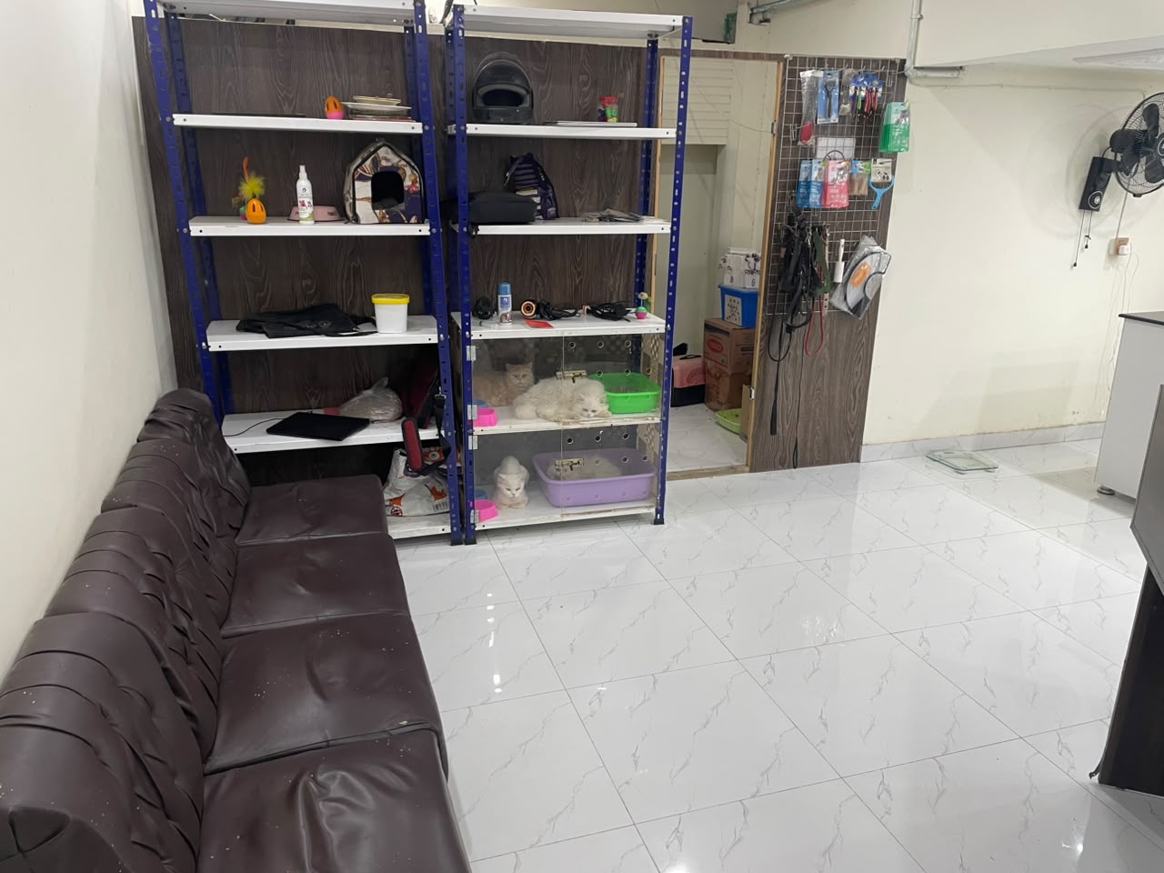 Reception and waiting area at Pet Life Care Clinic, Bahria Town Lahore