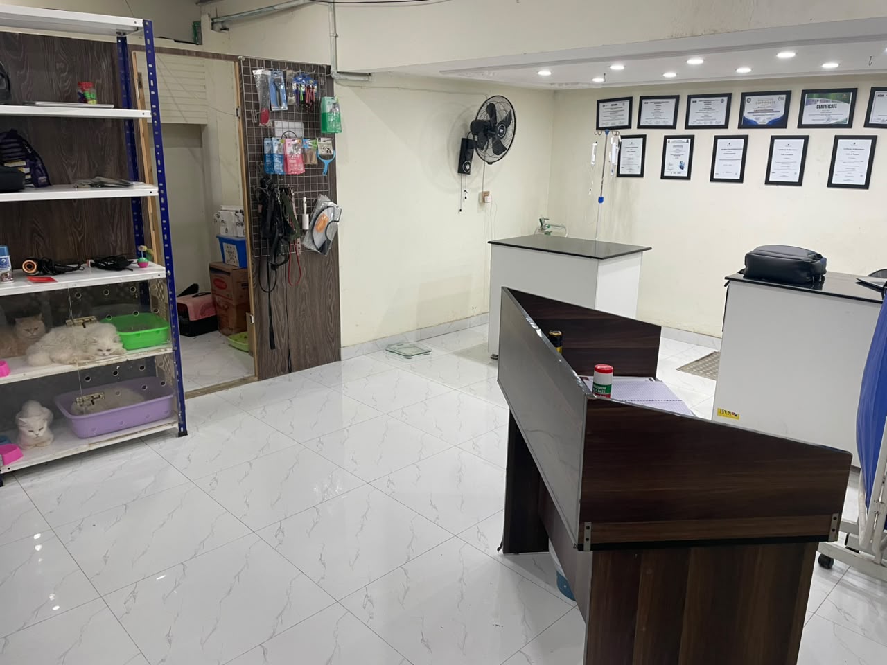 Interior of Pet Life Care Clinic — reception and consultation area