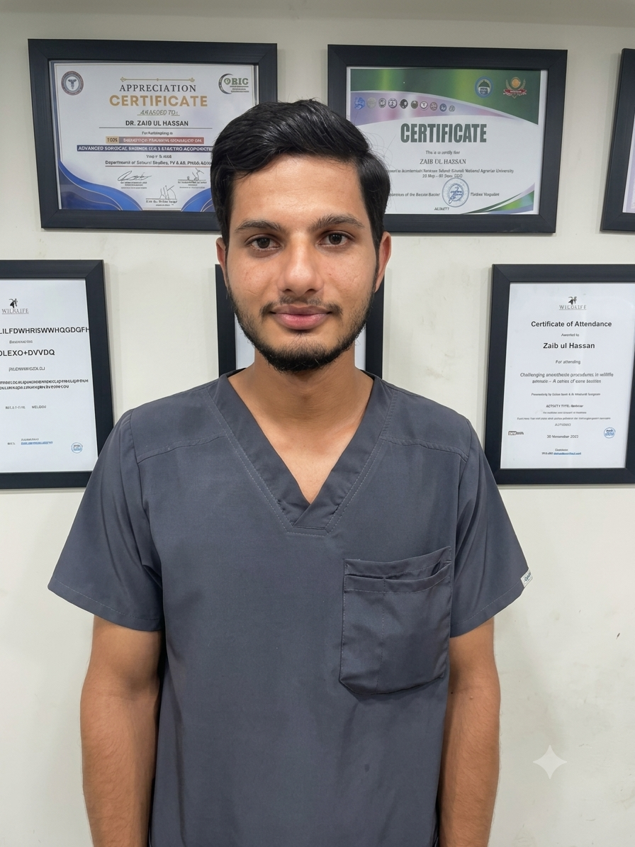 Dr. Muhammad Sohaib — Intern Doctor at Pet Life Care Clinic, Lahore